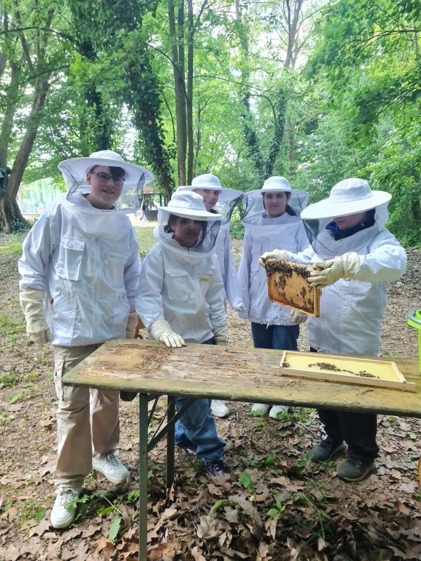 Die Bienen-AG - Foto/Abbildung: Isabell Wahler